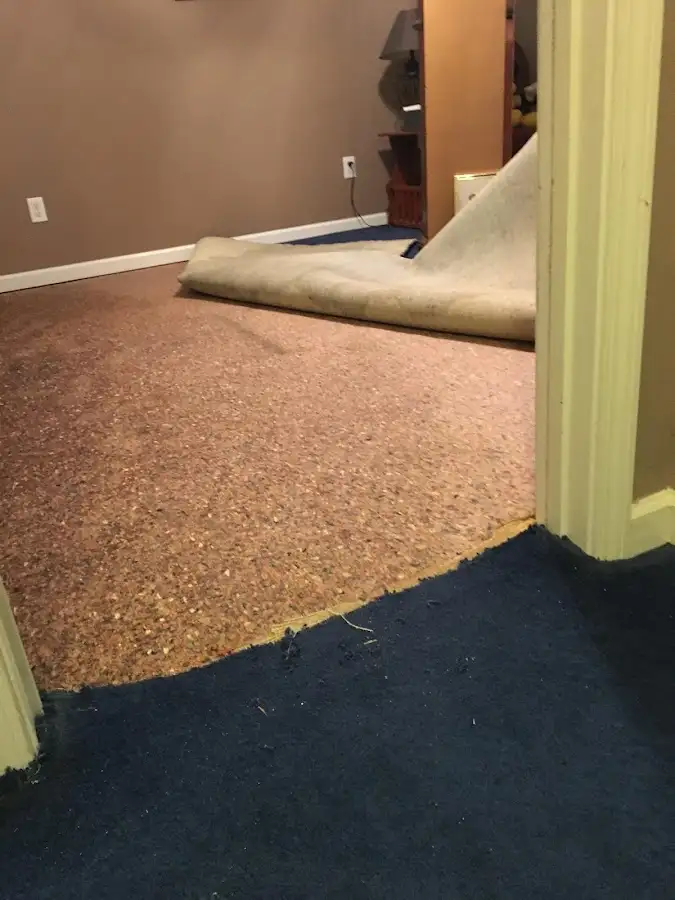 Carpet pad removal revealing water damage during Drying & Dehumidification in Elkton