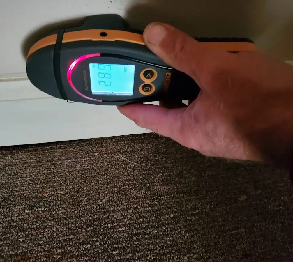 Moisture detection at baseboard during Mold Inspection & Testing in Elkton